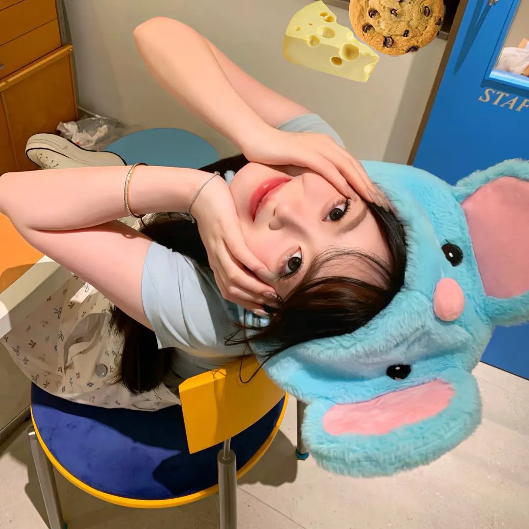 动物总动员